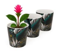 Home Garden Ornaments Indoor Plant Pot - Decorative Flower Pots with Inner Cone, Floral & Tropical Design Orchid Planters for Home Décor (13 cm / 5.1 inch - Palm Leaves)