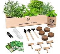 Home Gardening Miniaturized Package Includes Finish Tools Plant Grains Manual for Indoor Rest Fun Activity Novices Ease Bushes