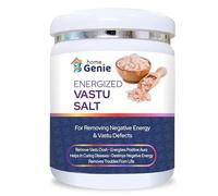 Home Genie Energized Vastu Salt | Removes Negative Energy & Vastu Dosha | Boosts Positive Aura & Harmony (500g)