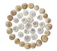 HOME GENIE "Gomti Chakra (Pack of 21) | Sacred Natural Shells for Wealth, Prosperity & Vastu Remedies | Spiritual Healing & Feng Shui Product