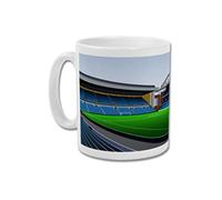 Home Ground GroundDesigns Rangers FC Mug IBROX Football Stadium Gift