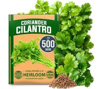 HOME GROWN 500+ Cilantro Seeds for Planting Indoors or Outdoors - Heirloom - Coriander Seeds, Grow Your Own Cilantro Plant - Culinary Herb Seeds for Your Herb Garden