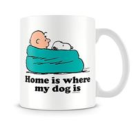 Home is Where My Dog is Cartoon Gift, Birthday, Gift for Boy, Girl, Coffe,Tea Mug Unique 11oz White Ceramic Mug.