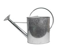 HOME It® 10L galvanised watering can with detachable rose - steel garden watering can - classic rust-resistant design - 61×20×41 cm
