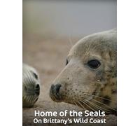 Home of the Seals: On Brittany's Wild Coast