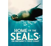 Home of the Seals: On Brittany's Wild Coast