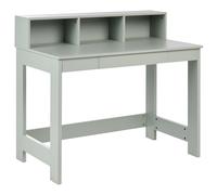 Home Office Desk ALVAR Light Green 111 cm 60 cm