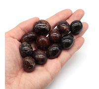 Home Polishing Natural Garnet Crystal Tumbled Stone Specime Gemstones Gem Raw Aquarium Decoration Bulk Lots (Size : 200-300g)