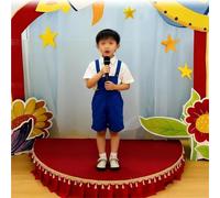 Home Portable Stage Platform, Entertainment Stage Riser/Performance Deck, Semi Circle, for Performances at School Auditoriums Concerts Restaurants Bars, 39.3/47.2in(Gray,100 * 50 * 15cm)