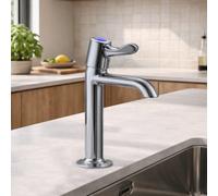Home Range Clever Performa 2158Qt Lever Sink Tap Cold - Quarter Turn Chrome Tap, Solid Brass Construction, Blue Cap