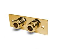 Home Range Gold Bidet Wall Plate - Wall Mounted Douche Fixing Bracket Back Plate Kit - Standard Universal Fittings Included