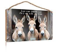 Home Sign for Front Porch Live Like Someone Else, Let Life Be Joy Pink Bathroom Funny Decor Decorative Hanging Sign(23X35CM)