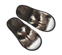 Home Slippers Hairy Raccoon Indoor Slippers Comfortable House Slippers Breathable Cotton Slippers For Hotel House Indoor L