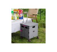 Home Storage Collapsible Rolling Utility Crate with Magnetic Lid H&O Direct Grey One Size