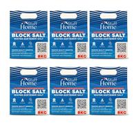 Home Stuff Dishwasher Salt Blocks - 6 Pack (48 kg Total) - High-Purity Water Softening Salt for Limescale Prevention & Superior Cleaning - Compatible with All Dishwashers