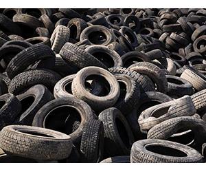 Home Sweet Homestead Homestead Is Where The Heart