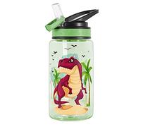 Home Tune Cute Water Bottle for Girls Boys, Unique Design, Leak Proof, Straw Lid, Easy Clean, BPA Free, 450ml - Dinosaur
