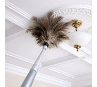 Home Valet Ostrich Feather Duster With Extendable Handle