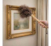 Home Valet Ostrich Feather Handheld Duster With Wooden Handle