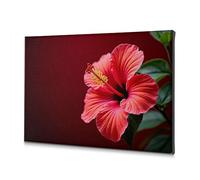 Home Wall Decor A Vibrant Red Hibiscus Flower Blooms Against A Dark Background. Canvas Decorative Picture Home Wall Decor Picture Hanging Kit(30x40cm)