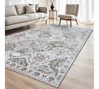 homeart Hampton Transitional Area Rug Super Soft Neutral Woven Carpet with Classic Design, Durable Sustainable Indoor Rug for Living Room, Bedroom Entrance, Kid Pet Friendly Morc Brown 200x290