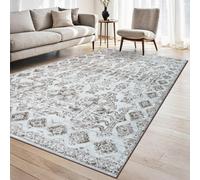 Homeart Traditional Area Rug Super Soft Sustainable Woven Neutral Carpet Durable Indoor Rug Mix Beige 80X150