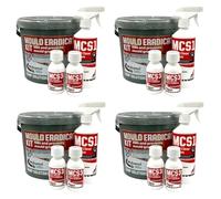 Homecare Essentials Mould Eradication Kit Kills Black Mould and Prevents Growth (4)