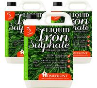 Homefront Liquid Iron Sulphate Greens Grass Hardens Turf 15L in Green | Size: 150g Homefront Green 150g