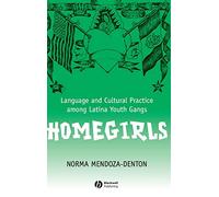 Homegirls: Language and Cultural Practice Among Latina Youth Gangs (New Directions in Ethnography)