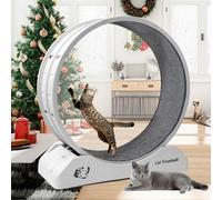 Homegroove Plastic Cat Wheels for Indoor Cats, Cat Exercise Running Treadmill Wheel with Carpeted Runway for Kitty’s Longer Life, Fitness Weight (Grey-grey carpet)