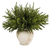 HomeKaren Norfolk Pine Stems 17.7" / 45cm, 16 Pcs Christmas Pine Branches, Real Touch Greenery for DIY Flower Arrangement, Home Indoor Christmas Decor