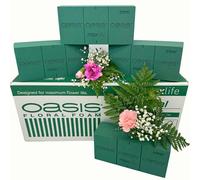 Homeland Florists Oasis Flower Foam 4 Pack, Green, 22x11x7.5cm