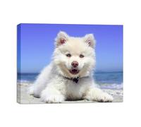 HomeLifairy Personalized Custom Canvas Photo Prints - Canvas Prints With Your Photos Pictures On Canvas Wall Art for Home Decor, Bedroom, Living Room (36cmx28cm With Frame)