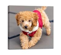 HomeLifairy Personalized Custom Canvas Photo Prints - Photo Prints On Canvas Wall Art for Home Decor, Bedroom, Living Room (30cmx30cm With Frame)