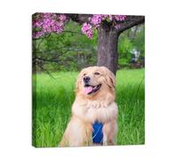 HomeLifairy Personalized Custom Canvas Photo Prints - Wall Art for Home Decor, Bedroom, Living Room (40cmx50cm With Frame)