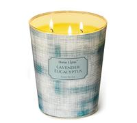 HomeLights 3 Wick Candles for Home Scented 34oz Soy Wax Blend Candle, Lasting Fragrance, Scandinavian Minimalist Design, Housewarming Gifts, Eucalyptus Lavender