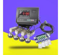 Homemade Small Weighbridge Accessories 0-3T DIY Weighbridge Electronic Weighing Platform Scale Livestock Weighing A12E 3T