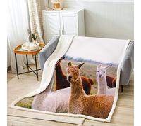 Homemissing Animal Blanket 3D Llama Alpaca Print Kids Youth Cuddly Blanket Ultra Soft Microfiber Argentina Animals Nature Blanket Llama Patternative Flannel Fleece Blanket Double 60x79 Inch