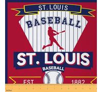 Homemissing Baseball Gaming Fabric by The Yard St. Louis Upholstery Fabric Baseball City Waterproof Indoor Outdoor Decor for DIY Sewing Craft Projects Sports Game 2 Yards (L184*W150cm) s