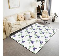 Homemissing Blueberries Living Room Rugs for Bedroom for Kids Boys Girls Cute Fruit Indoor Floor Mat Area Rug 150 * 200cm Summer Theme Decor Carpet Botanical Nature Theme Bedroom Decor