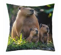 Homemissing Cute Capybaras Throw Pillow Covers 1 Pcs Capybara Gifts Cushion Case Nature Theme Decor Pillowcase Animals Lovers Indoor Outdoor Super Soft 50x50cm