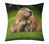 Homemissing Cute Capybaras Throw Pillow Covers 1 Pcs Green Grass Cushion Case Nature Theme Decor Pillowcase Animals Lovers Indoor Outdoor Super Soft 55x55cm
