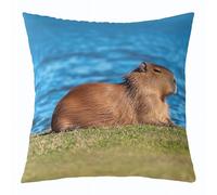 Homemissing Cute Capybaras Throw Pillow Covers 1 Pcs Nature Theme Cushion Case Capybara Gifts Decor Pillowcase Grass Bank Print Indoor Outdoor Super Soft 40x40cm