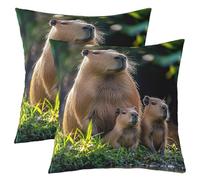 Homemissing Cute Capybaras Throw Pillow Covers Set of 2 Capybara Gifts Cushion Case Nature Theme Decor Pillowcase Animals Lovers Indoor Outdoor Super Soft 45x45cm