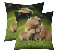 Homemissing Cute Capybaras Throw Pillow Covers Set of 2 Green Grass Cushion Case Nature Theme Decor Pillowcase Animals Lovers Indoor Outdoor Super Soft 55x55cm