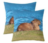 Homemissing Cute Capybaras Throw Pillow Covers Set of 2 Nature Theme Cushion Case Capybara Gifts Decor Pillowcase Grass Bank Print Indoor Outdoor Super Soft 45x45cm
