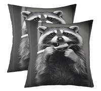 Homemissing Raccoon Throw Pillow Covers Set of 2 Black Decorative Pillowcase Cute Cushion Covers for Sofa Couch Bed Funny Animal Cushion Case Cartoon Home Decor 45x45cm