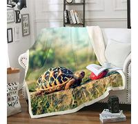 Homemissing Tortoise Strawberry Fleece Throw Blanket for Bed Sofa Couch Animal Fruit Decorative Nature Themed Warm Double 60x79