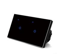 Homeponnew WiFi Enabled Touch Switch with Voice Activation for Smart Home Control, for Tuya App, Suitable for Various Lamps, Voice and App Remote Control(2 Gang 2Way)