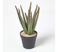 HOMESCAPES Lifelike Small Artificial Succulent Potted Aloe Vera Plant In Round Black Plastic Pot, 30cm Tall Lifelike Faux Cactus For Indoor Decoration